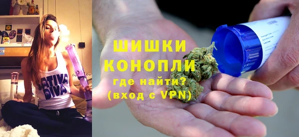 прущие грибы Новокубанск
