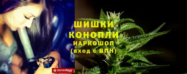 прущие грибы Новокубанск
