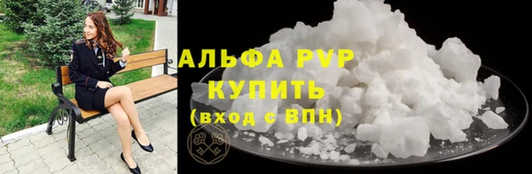 прущие грибы Новокубанск
