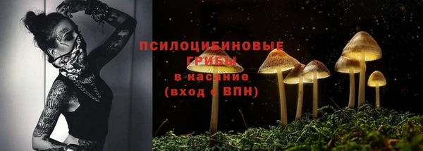 эйфоретик Вуктыл