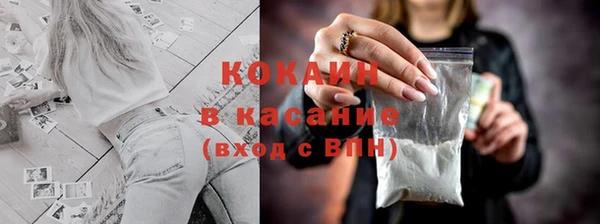 прущие грибы Новокубанск