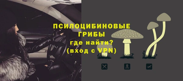 ПСИЛОЦИБИНОВЫЕ ГРИБЫ Новодвинск