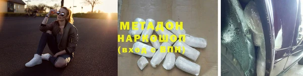 прущие грибы Новокубанск