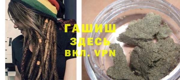 прущие грибы Новокубанск