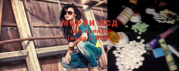 прущие грибы Новокубанск