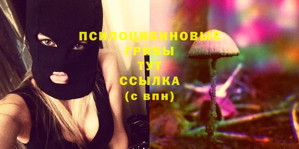 эйфоретик Новозыбков