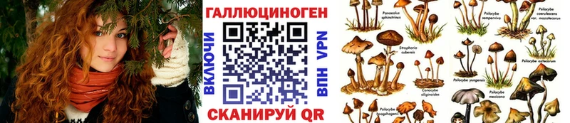 Псилоцибиновые грибы Psilocybine cubensis  цены наркотик  Пучеж 